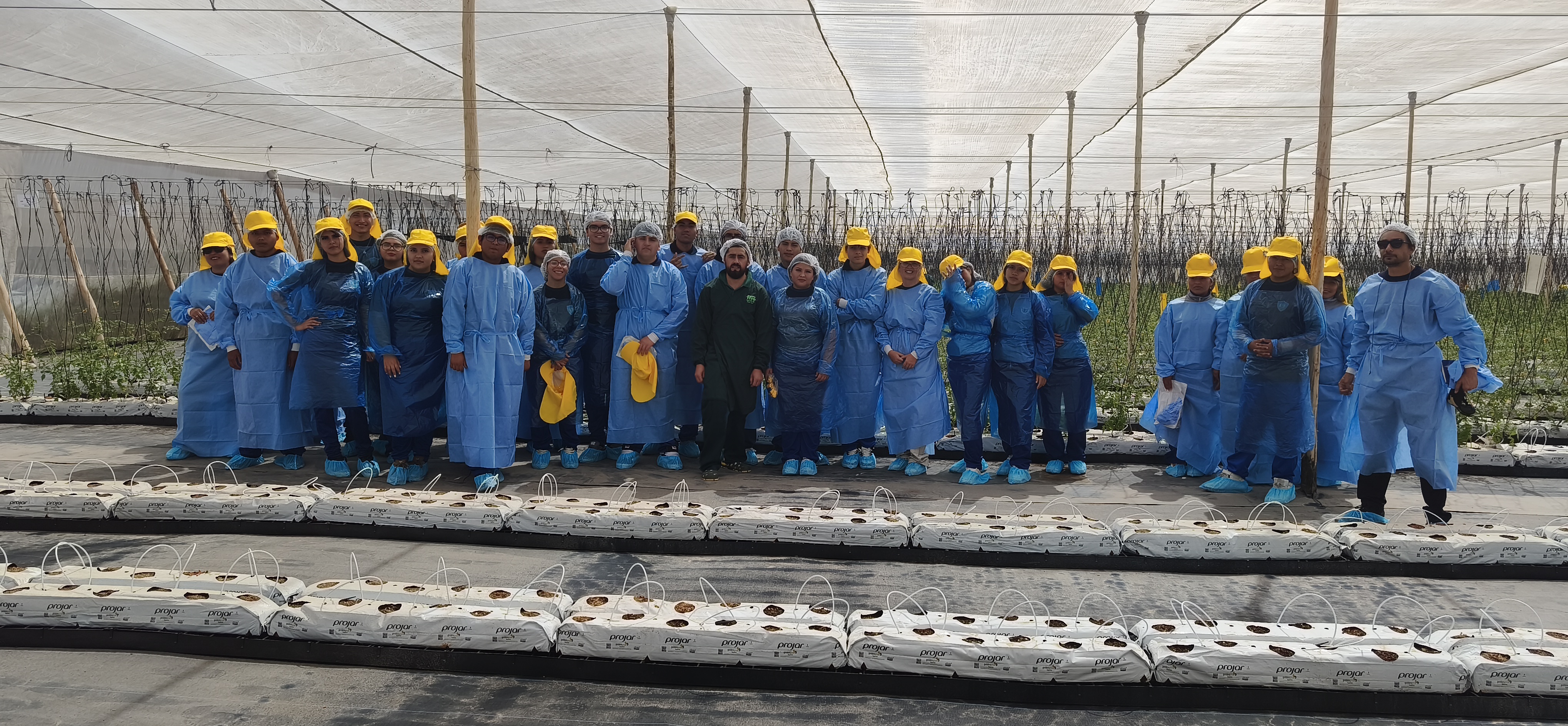 Visita a la semillera Fito: Innovación agrícola y genética vegetal en el corazón de Azapa